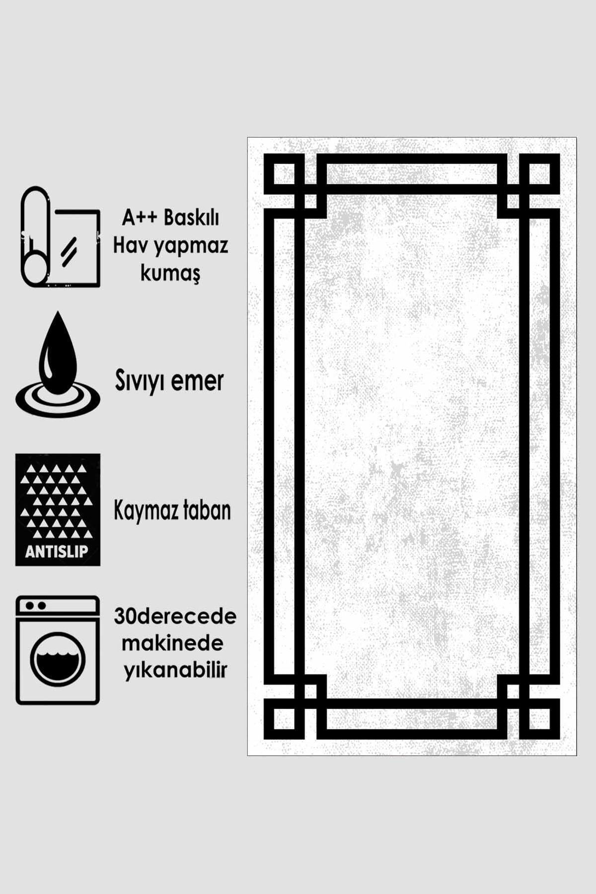 2_org_zoom-6.jpg
